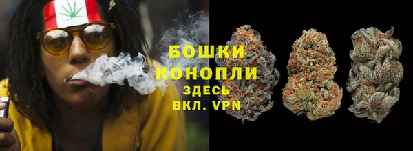 прущий лед Алзамай