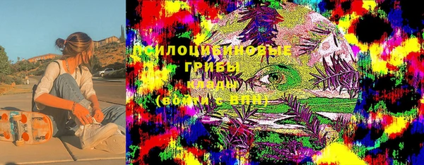 прущий лед Алзамай