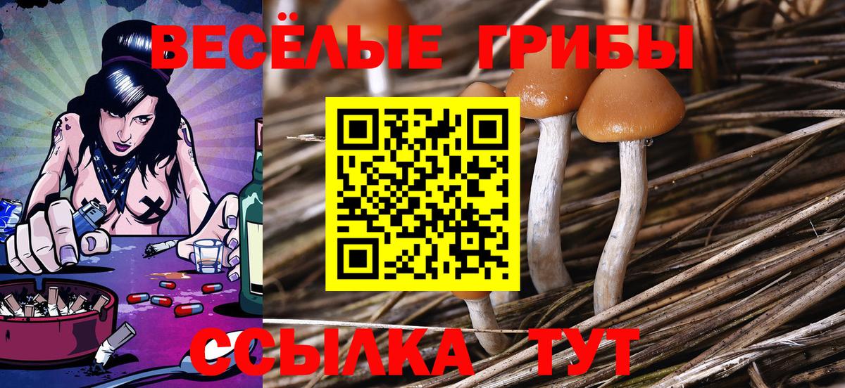 Морозовск  Галлюциногенные грибы GOLDEN TEACHER  Вход с VPN 
